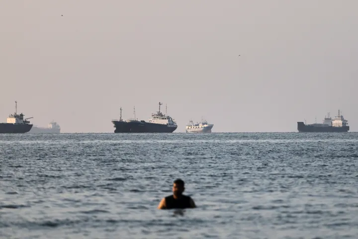 A person stands in shallow water as cargo and commercial vessels 