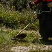 οικόπεδο
