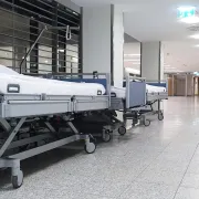 Ιός του Νείλου κρούσματα