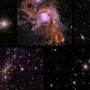stars