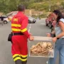 Ισπανία φωτιές