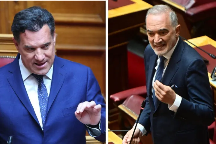 Σαλμάς Γεωργιάδης βουλή