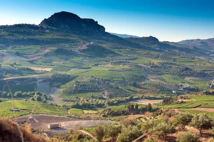 αγροτικές εκτάσεις