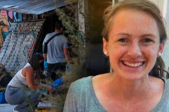Κυψέλη σε βαλίτσα