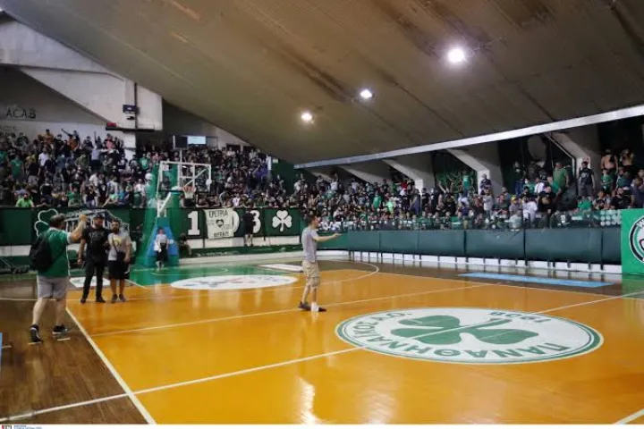 ΠΑΟ μπάσκετ
