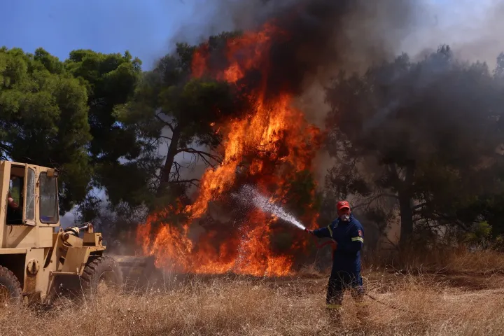 Αποζημειώσεις για πυρόπληκτους