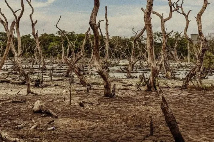 el salvador el nino
