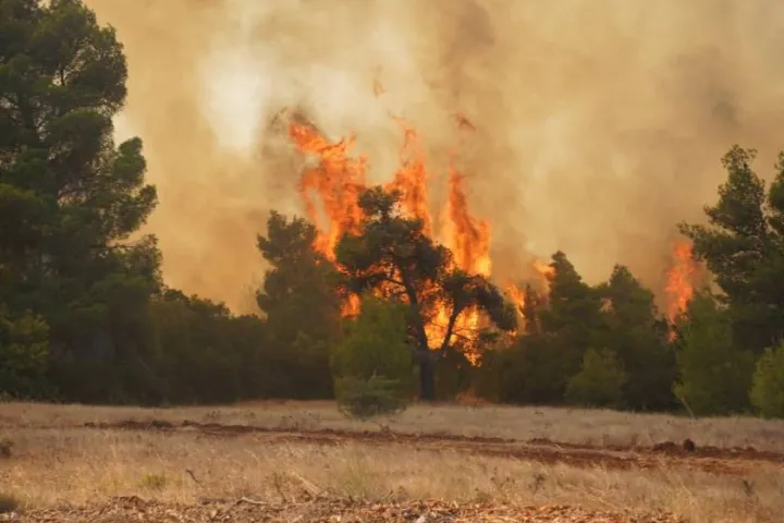 Βοιωτία κρατούμενοι