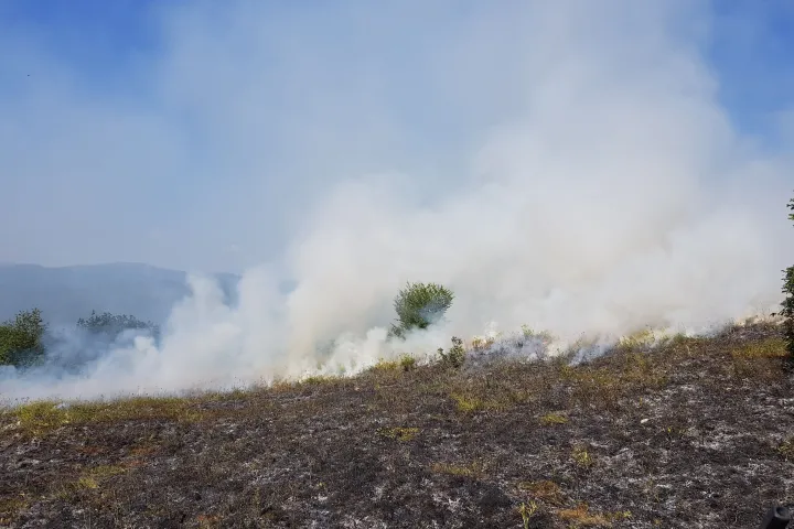Φωτιά στον Κουβαρά
