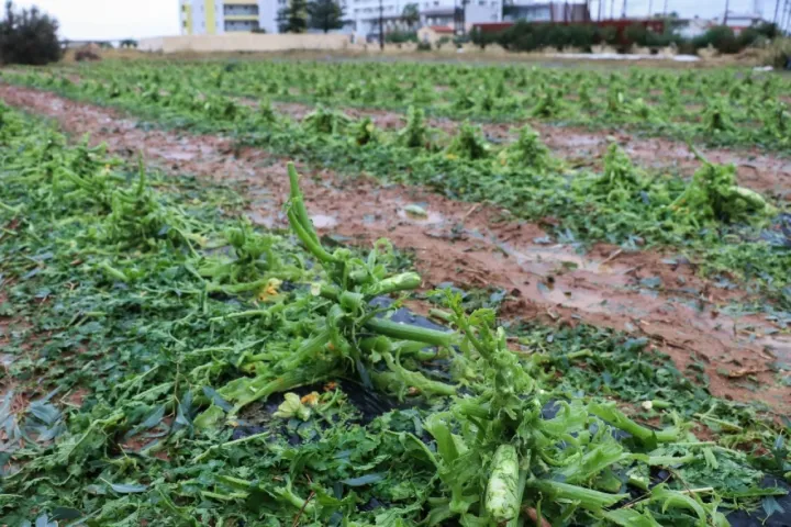 Καταστροφικές ζημιές σε αμπελοκαλλιέργειες από χαλαζόπτωση στο Ηράκλειο της Κρήτης