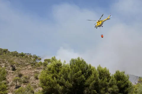 Φωτιά Χαλκιδική