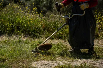 οικόπεδο