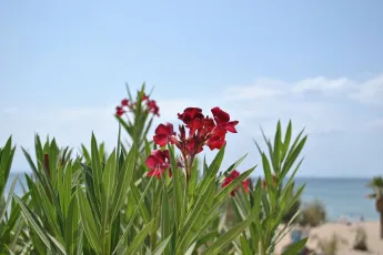 Ημερολόγιο