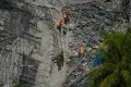 A K9 joins rescuers as they continue search operations 