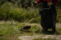 οικόπεδο