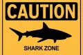 shark warning sign