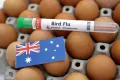 H5N1 australia