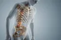 andriki osteoporosi