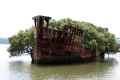  SS Ayrfield  Αυστραλία
