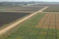 αγροτικές εκτάσεις