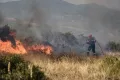 Φωτιά στα Βασιλικά