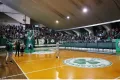 ΠΑΟ μπάσκετ