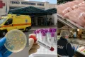 Σαλμονέλα σε κοτόπουλα