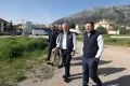 Χαρδιαλιάς στην Παιανία