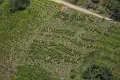 Colombia Cocaine Canyon