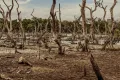 el salvador el nino