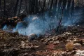 Φωτιά  σορός αγνώστου