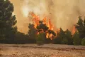 Βοιωτία κρατούμενοι