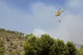 Φωτιά Χαλκιδική