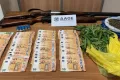 Απάτες ΟΠΕΚΕΠΕ: Το κύκλωμα που εκμεταλλεύτηκε επιδοτήσεις για έξι χρόνια στην Κοζάνη